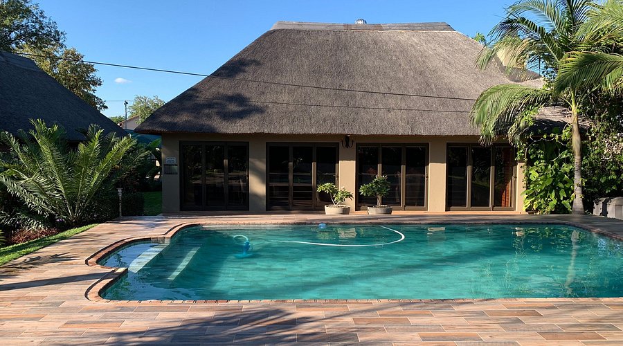 Swimming pool and gardens